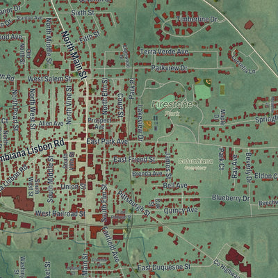 Close-up of the map of Columbiana, Ohio print showing street and building detail