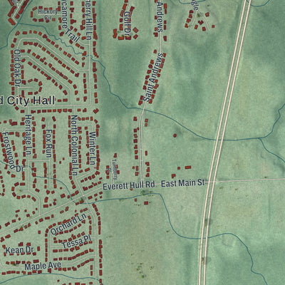 Second close-up of the map of Cortland, Ohio print showing more streets and buildings