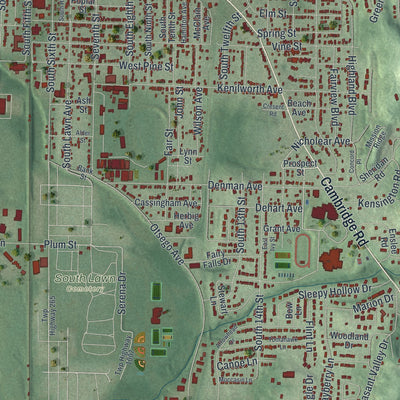 Close-up of the map of Coshocton, Ohio print showing street and building detail