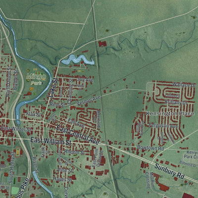 Second close-up of the map of Delaware, Ohio print showing more streets and buildings