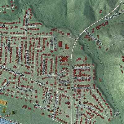 Close-up of the map of Devola, Ohio print showing street and building detail