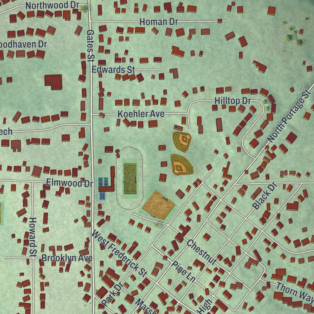 Close-up of the map of Doylestown, Ohio print showing street and building detail