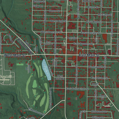 Close-up of the map of Eaton, Ohio print showing street and building detail
