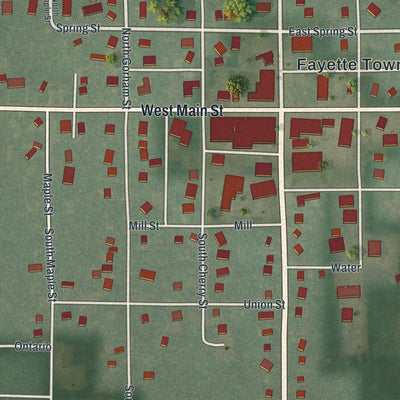 Close-up of the map of Fayette, Ohio print showing street and building detail