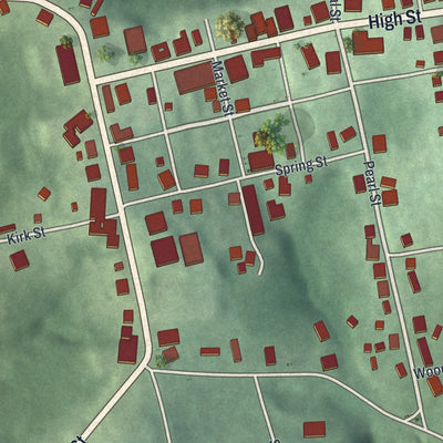 Close-up of the map of Flushing, Ohio print showing street and building detail