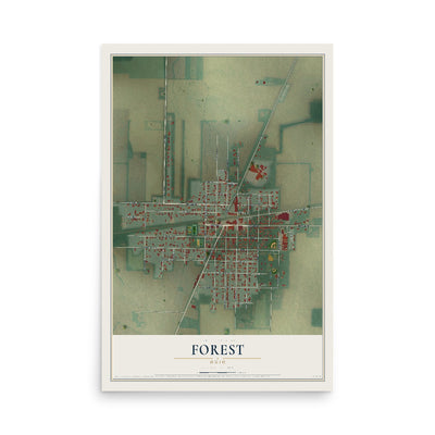 Map of Forest, Ohio, 12 x 18 inch unframed archival matte print
