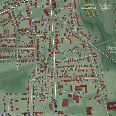 Close-up of the map of Geneva, Ohio print showing street and building detail