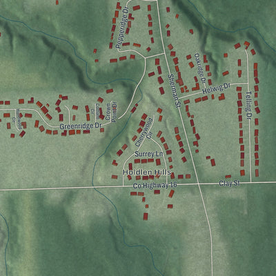 Second close-up of the map of Geneva, Ohio print showing more streets and buildings