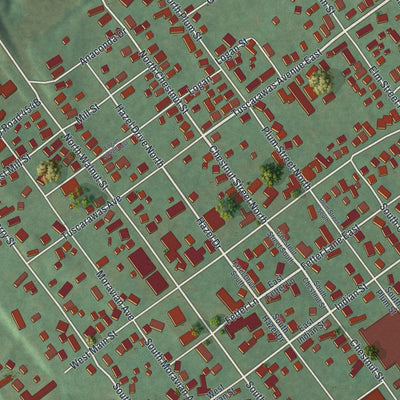 Close-up of the map of Gnadenhutten, Ohio print showing street and building detail