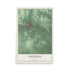 Map of Granville, Ohio, 12 x 18 inch unframed archival matte print