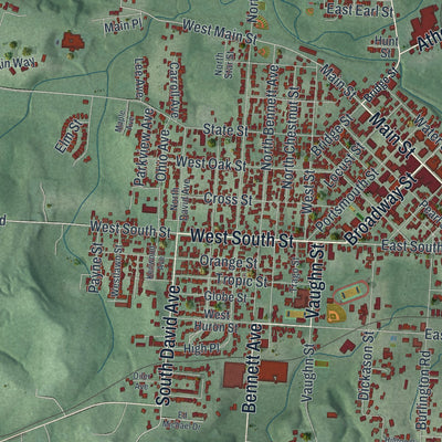 Close-up of the map of Jackson, Ohio print showing street and building detail