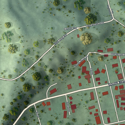 Second close-up of the map of Jacksonville, Ohio print showing more streets and buildings