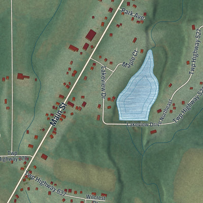 Close-up of the map of Kinsman Center, Ohio print showing street and building detail