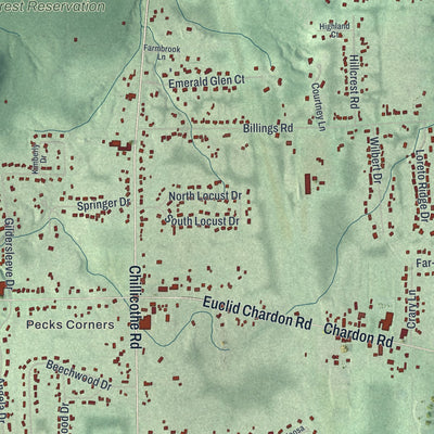 Close-up of the map of Kirtland, Ohio print showing street and building detail