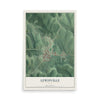 Map of Lewisville, Ohio, 12 x 18 inch unframed archival matte print