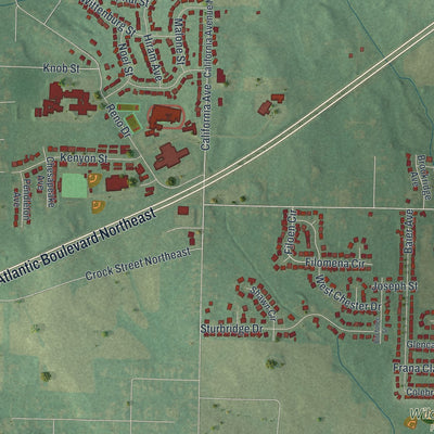 Second close-up of the map of Louisville, Ohio print showing more streets and buildings