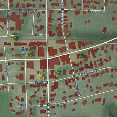 Close-up of the map of McComb, Ohio print showing street and building detail