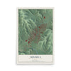 Map of Minerva, Ohio, 12 x 18 inch unframed archival matte print