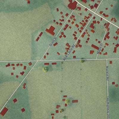 Close-up of the map of New Springfield, Ohio print showing street and building detail
