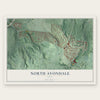 North Avondale, Ohio map print, the full design