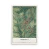 Map of Somerset, Ohio, 12 x 18 inch unframed archival matte print