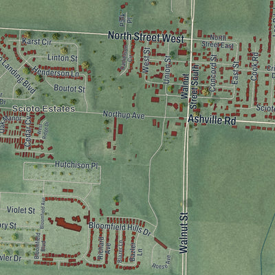 Close-up of the map of South Bloomfield, Ohio print showing street and building detail