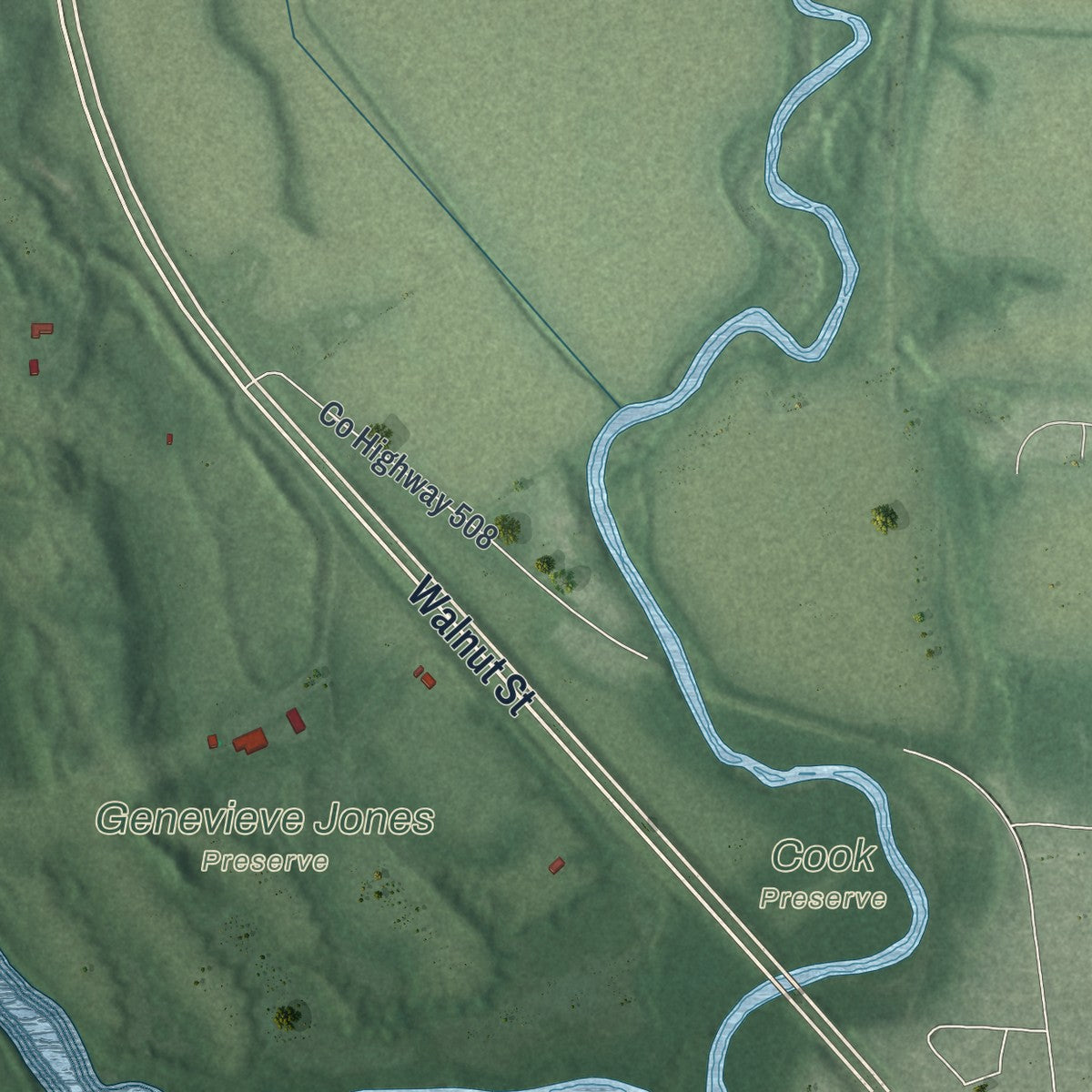 Second close-up of the map of South Bloomfield, Ohio print showing more streets and buildings