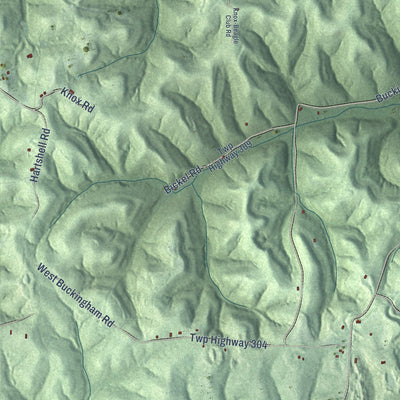 Close-up of the map of Union Furnace, Ohio print showing street and building detail