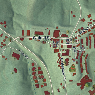 Close-up of the map of Walnut Creek, Ohio print showing street and building detail