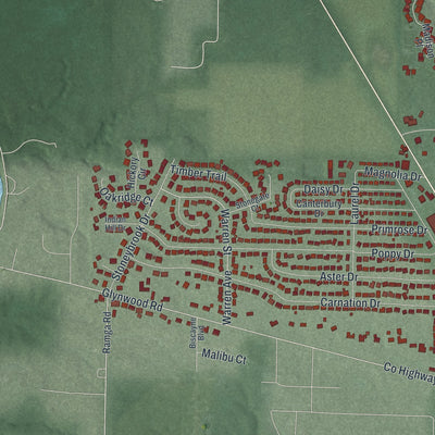 Second close-up of the map of Wapakoneta, Ohio print showing more streets and buildings