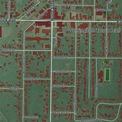 Close-up of the map of Wellington, Ohio print showing street and building detail