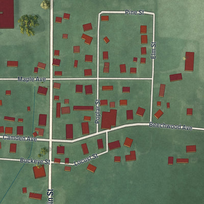 Close-up of the map of West Elkton, Ohio print showing street and building detail