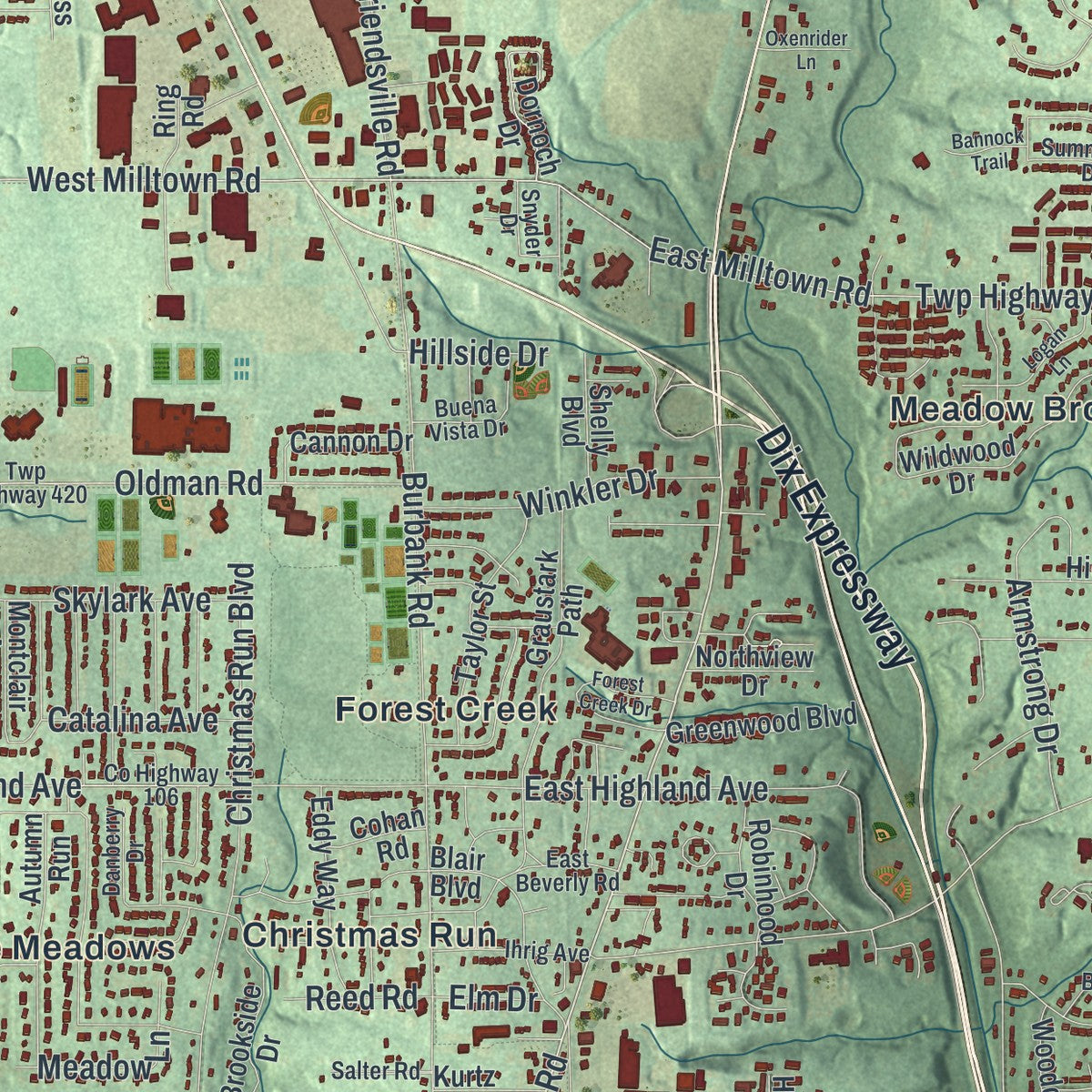Close-up of the map of Wooster, Ohio print showing street and building detail