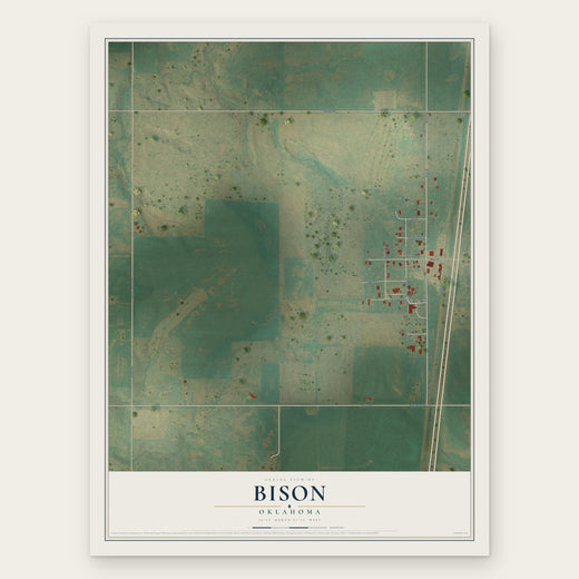 Bison, Oklahoma map print, the full design