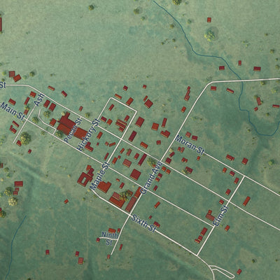 Close-up of the map of Coleman, Oklahoma print showing street and building detail