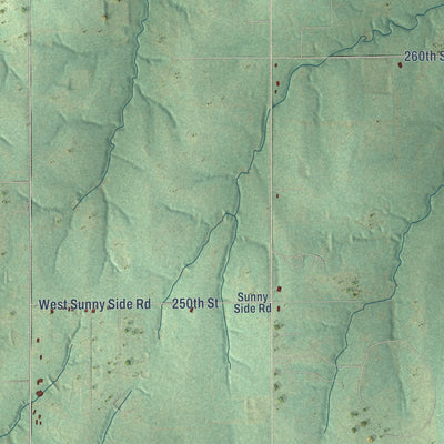 Close-up of the map of Dibble, Oklahoma print showing street and building detail