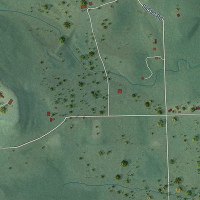 Close-up of the map of Dwight Mission, Oklahoma print showing street and building detail