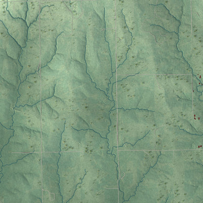 Close-up of the map of Gypsy, Oklahoma print showing street and building detail