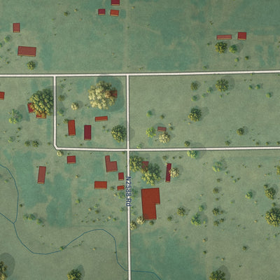 Close-up of the map of Homestead, Oklahoma print showing street and building detail