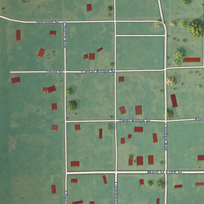 Close-up of the map of Leon, Oklahoma print showing street and building detail