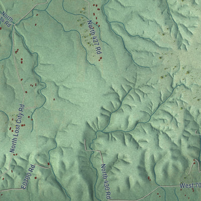 Close-up of the map of Lost City, Oklahoma print showing street and building detail