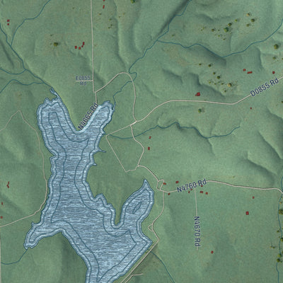 Close-up of the map of Lyons Switch, Oklahoma print showing street and building detail