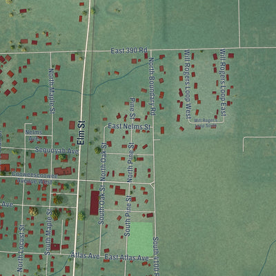 Close-up of the map of Oologah, Oklahoma print showing street and building detail