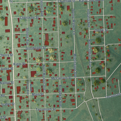 Close-up of the map of Panama, Oklahoma print showing street and building detail