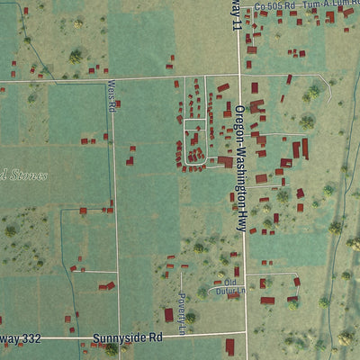 Close-up of the map of Ferndale, Oregon print showing street and building detail