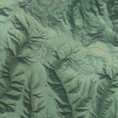 Close-up of the map of Mist, Oregon print showing street and building detail