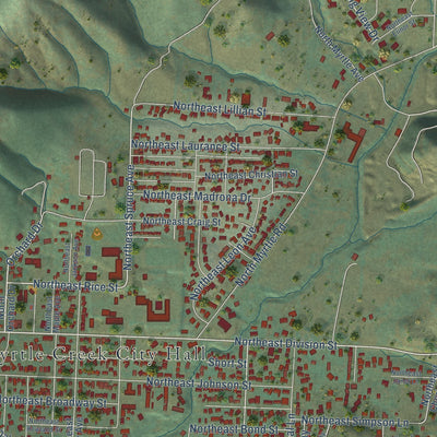 Close-up of the map of Myrtle Creek, Oregon print showing street and building detail