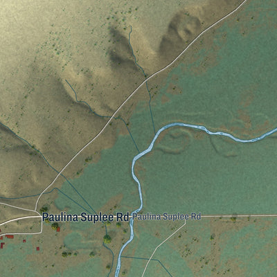 Close-up of the map of Paulina, Oregon print showing street and building detail