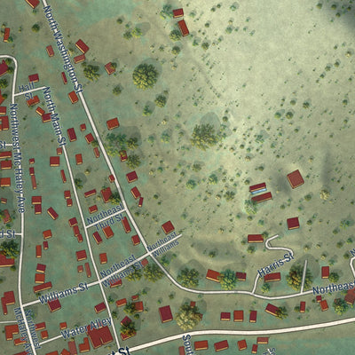 Close-up of the map of Prairie City, Oregon print showing street and building detail