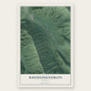 Rhododendron, Oregon map print, the full design